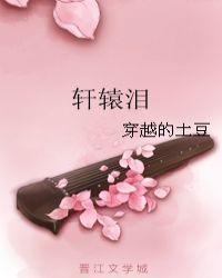 轩辕泪冰奇迹战士